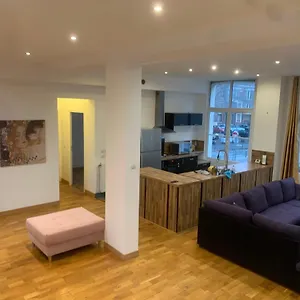Spacieux 100 M2 Pour 7 Personnes En Plein Centre-ville Appartement Rijsel